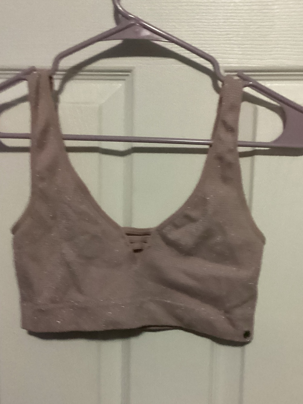 Forever 21 Shimmery Taupe Bralette